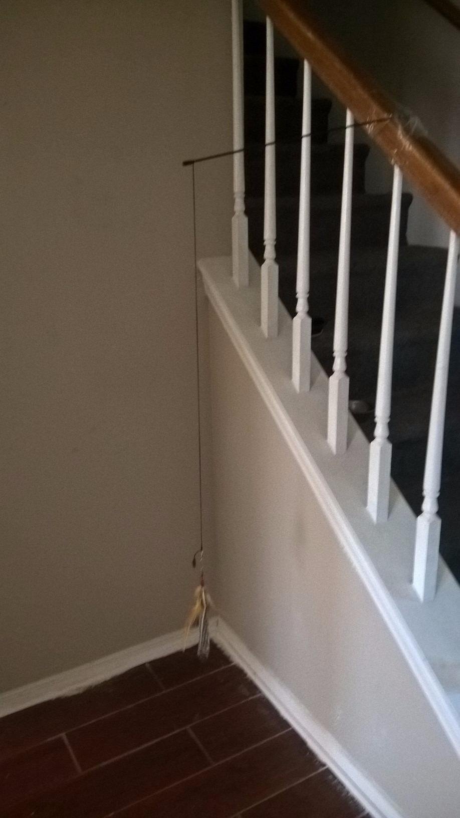 Buy It! Best Toy Ever! Even For A Picky Cat! And Dogs Like It Too!