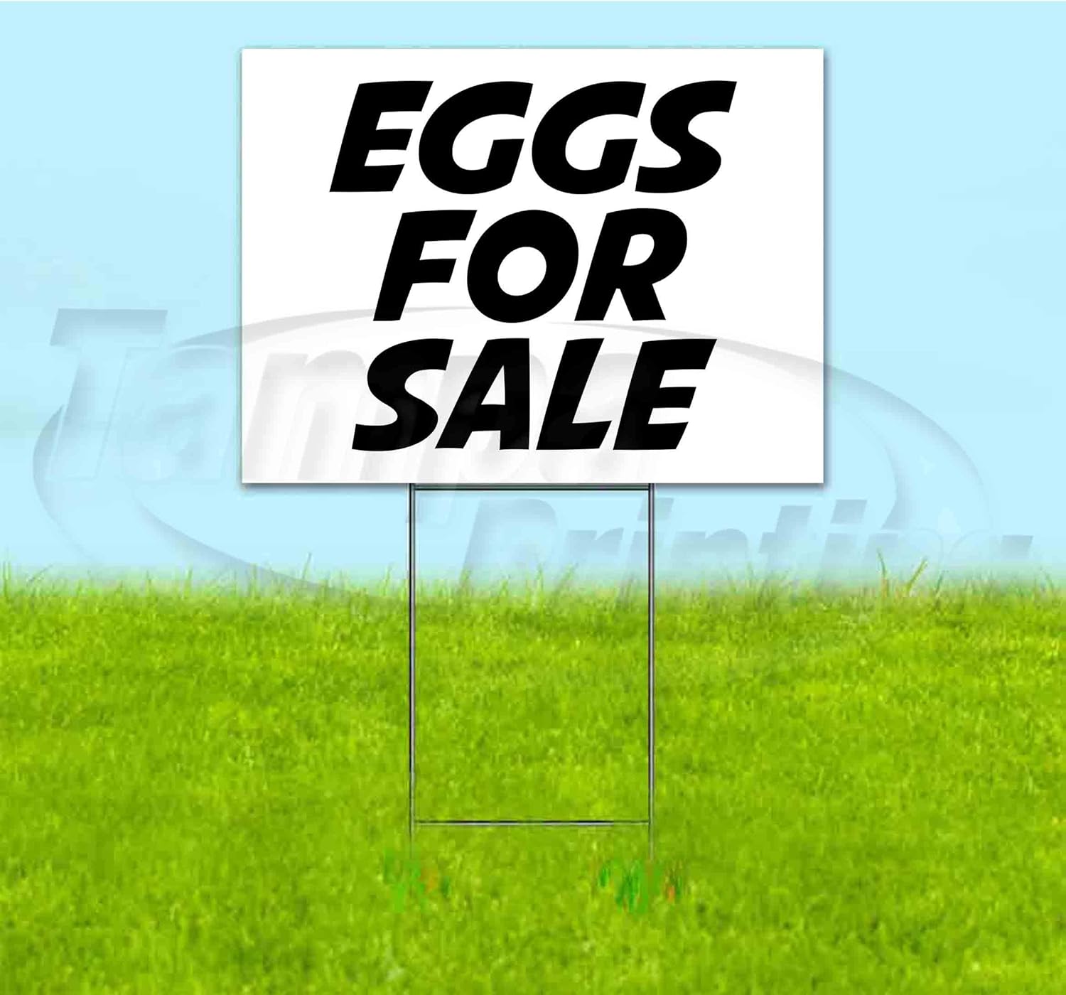 Eggs for Sale (18" X 24") Yard Sign, Quantity Discounts, Multi-Packs, Includes Metal Step Stake, Bandit Sign