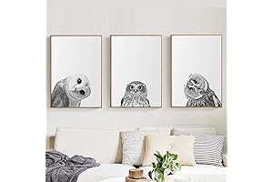 Black and White Owl Prints for Nursery Decor