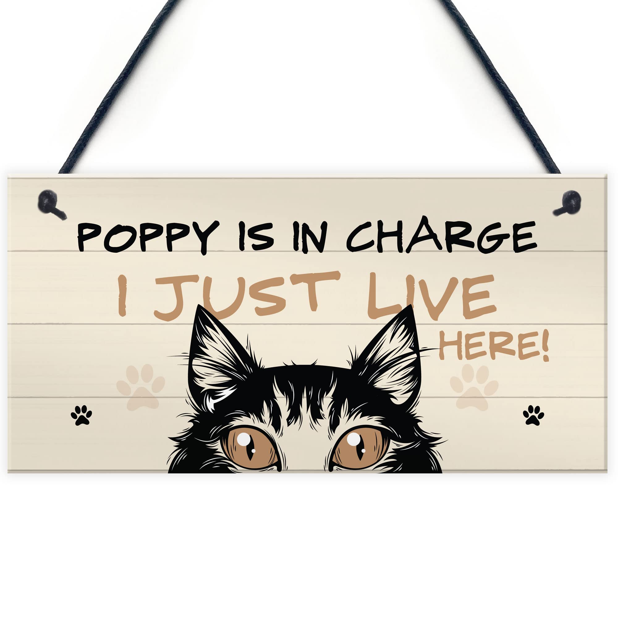 Red Ocean Women's Red Funny Cat Sign In Charge Cat Lovers Gift For Home Decor Animal Sign Pet Gifts