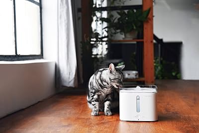 PETKIT ドリンキング・ウォーターファウンテン