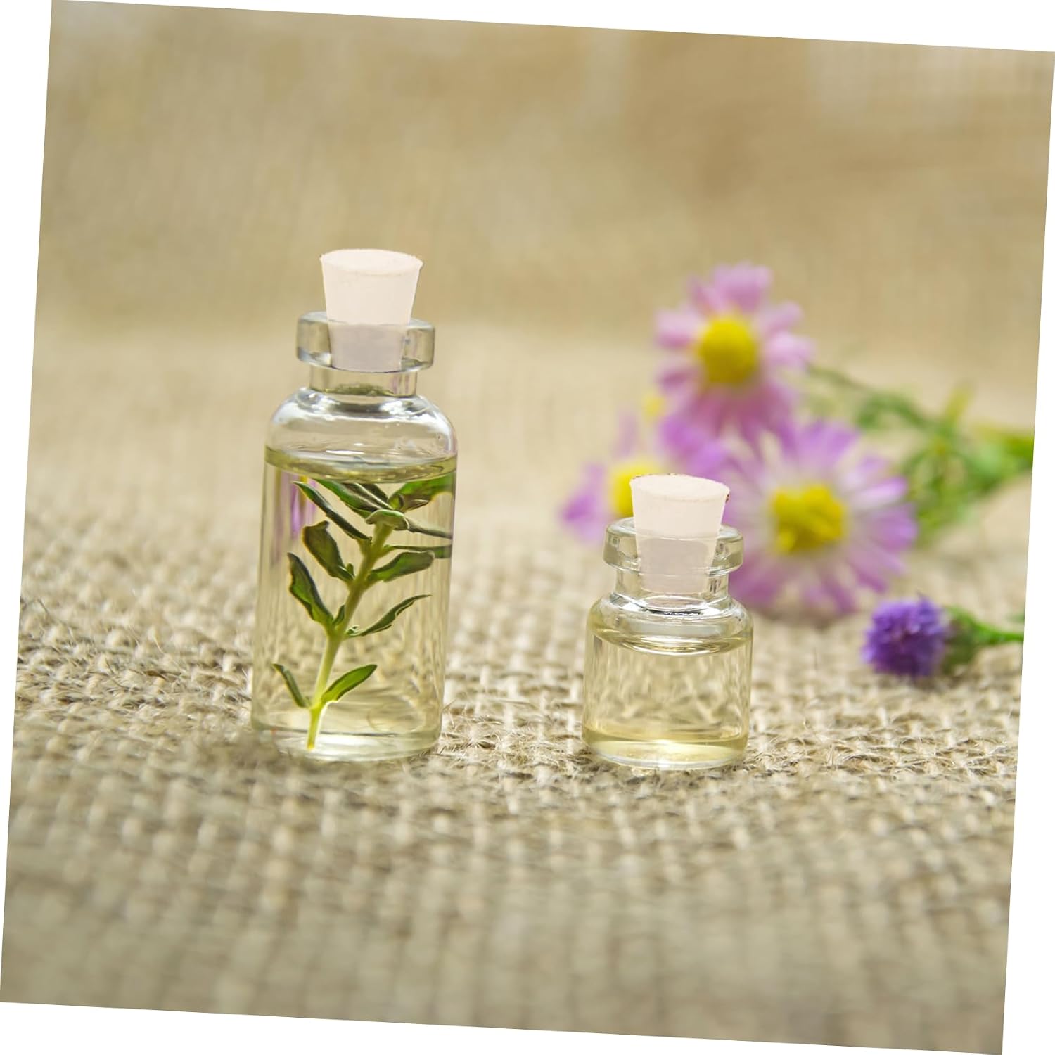 Ciieeo Rubber Test Tube Stoppers 100 Pcs White Solid Plugs Sealing Plugs for Lab Bottles Tubes