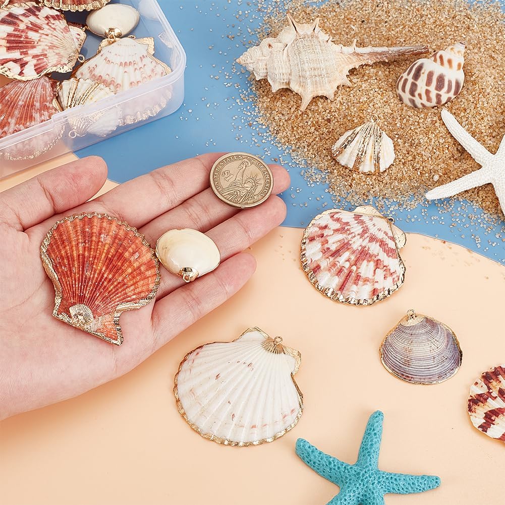 PH PandaHall 24pcs 6 Styles Natural Scallop Shell Pendants, Electroplated Shell Charms Beach Seashells Charms Summer Sea Shells Pendant with Hole for Summer Jewelry Bracelet Jewelry Craft Halloween - Image 5
