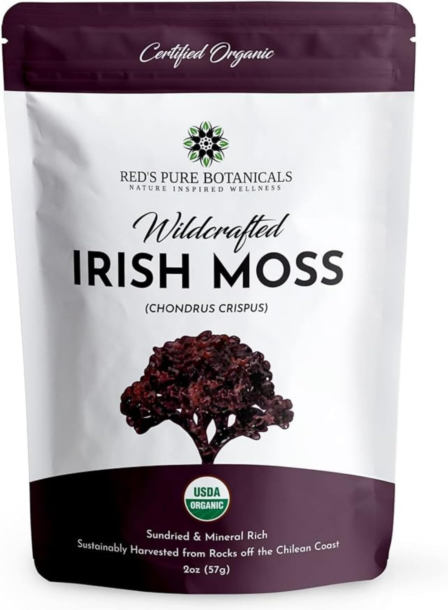 Irish Sea Moss - Wildcrafted Chondrus Crispus | Purple | USDA Certified Organic | Makes ~100oz of Seamoss Gel