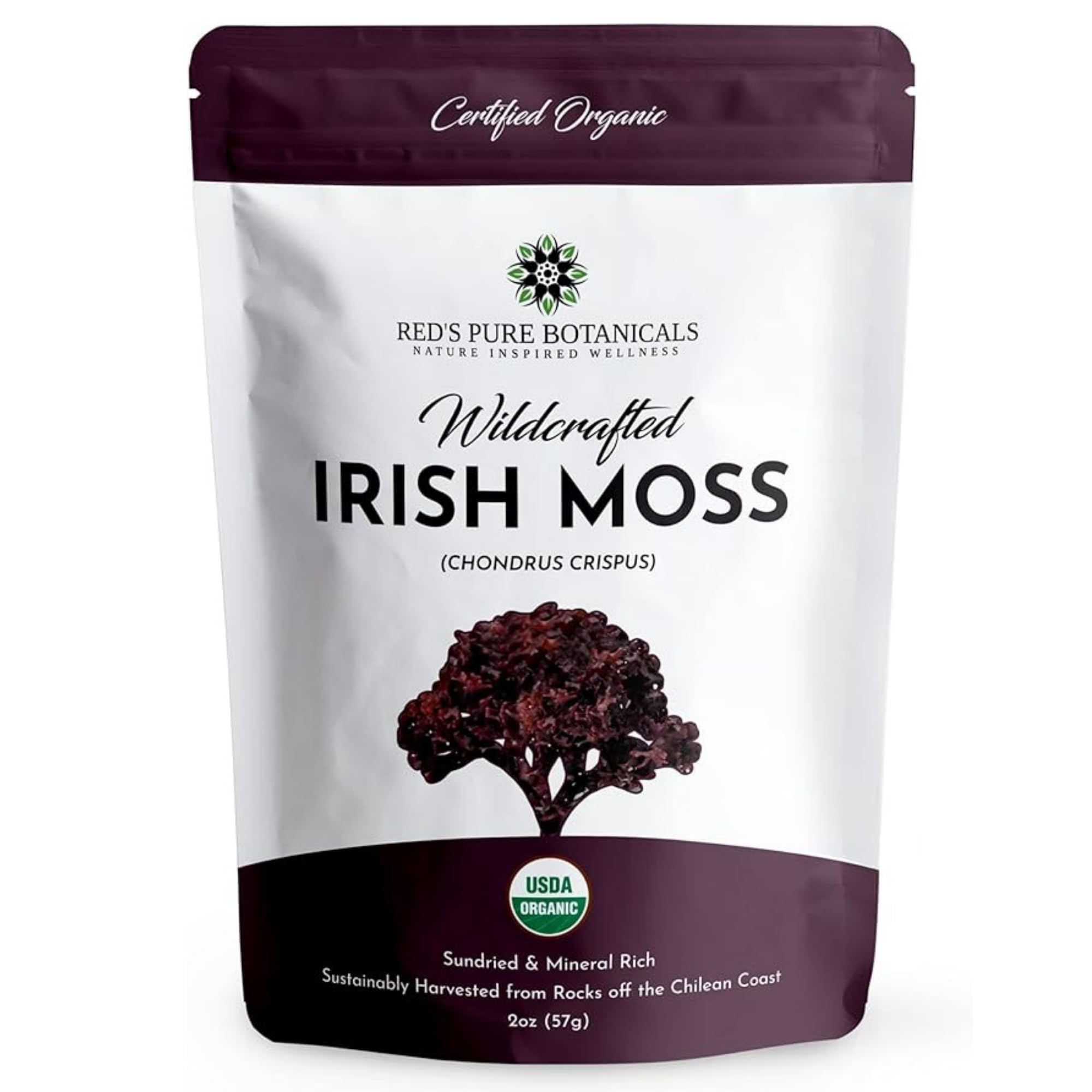 USDA Organic Irish Sea Moss – Wildcrafted Chondrus Crispus (Purple) – 100% Natural, Sustainably Harvested from Chile – Makes ~100oz of Sea Moss Gel – Nutrient-Rich Superfood – Red’s Pure Botanicals