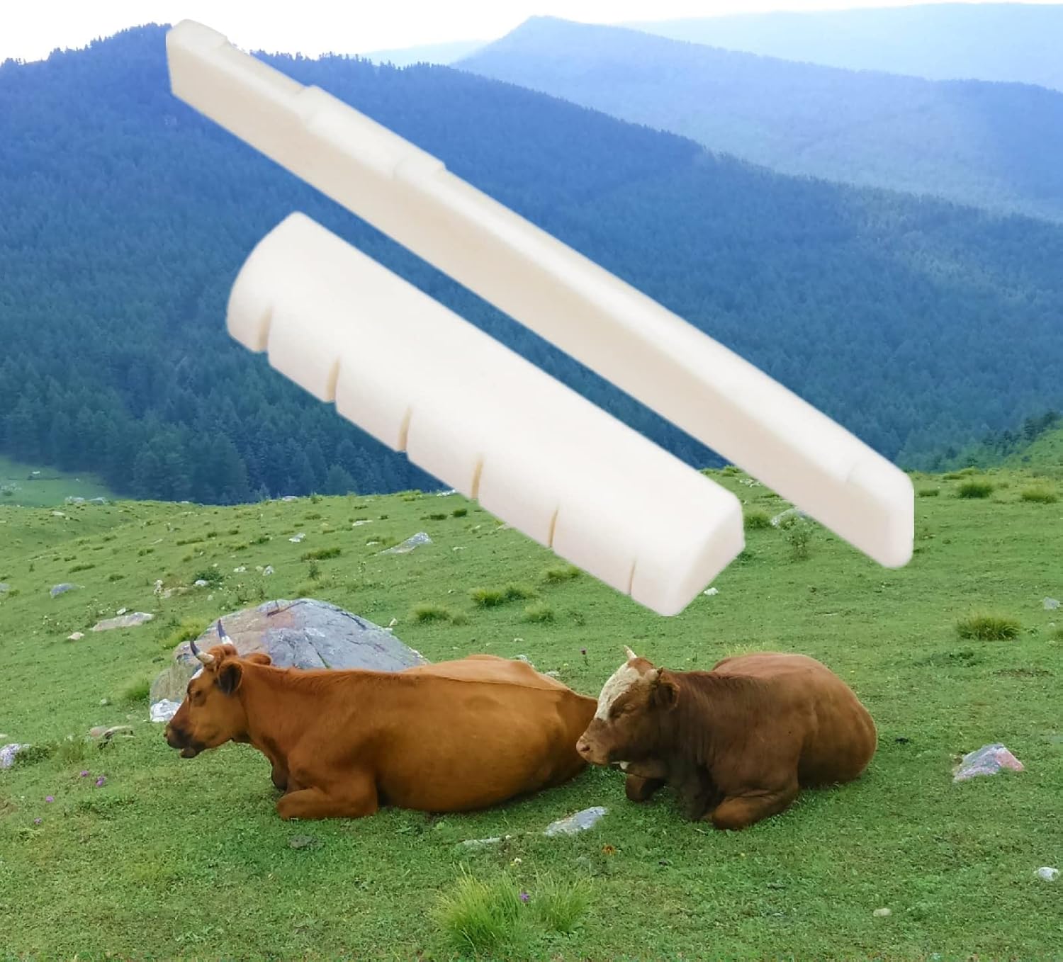 Miwayer 6 String Acoustic Guitar Bone Bridge Saddle and Nut Made of Real Bone (Acoustic Bridges 1 pair) : Musical Instruments