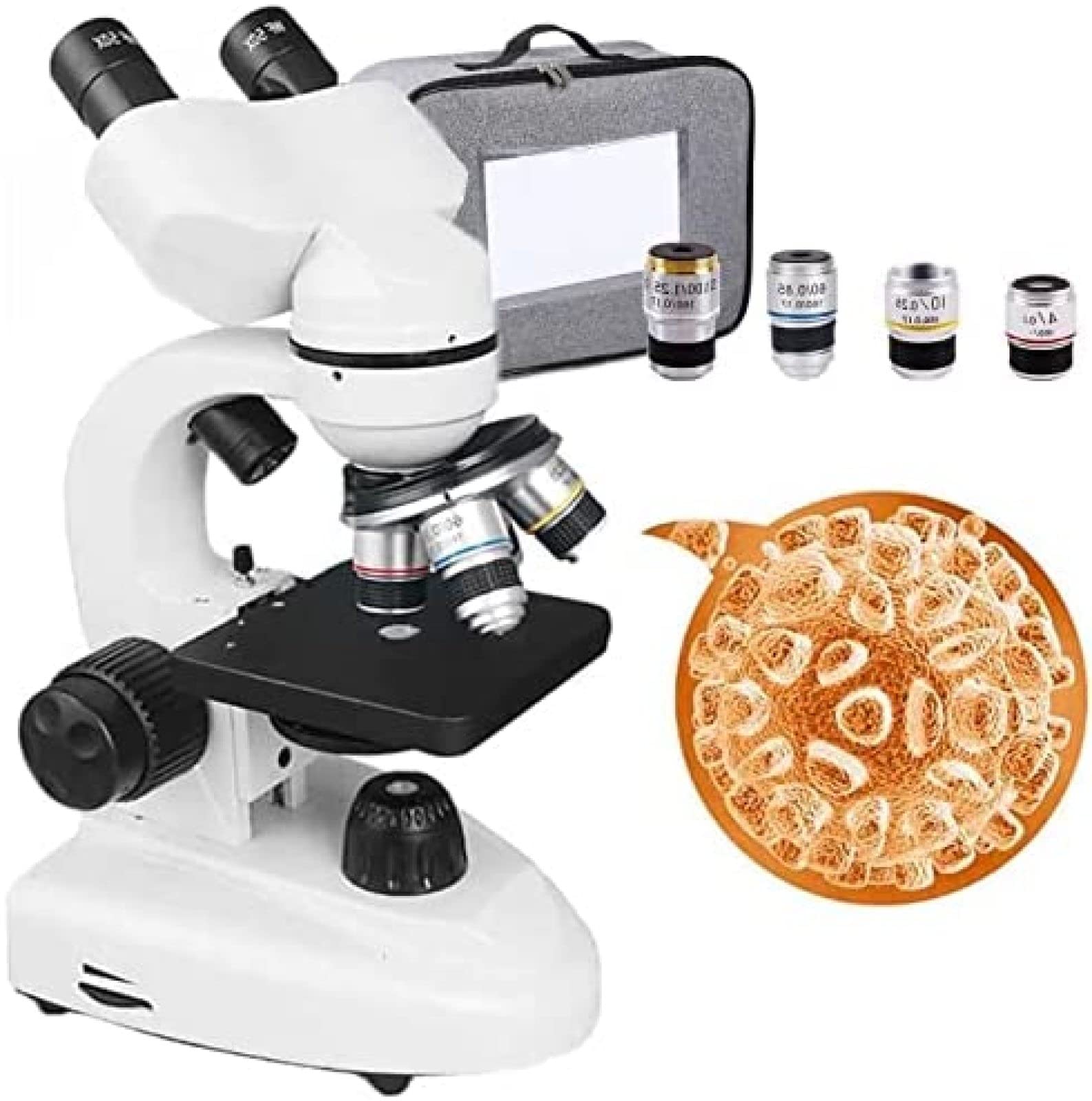 Generico Microscopio Biologico Binoculare, Ingrandimento 40-6000x | Doppia Alimentazione, Sorgenti Luminose A Led Superiori E Inferiori, Per Lutilizzo Nei Laboratori Scolastici (20000X)