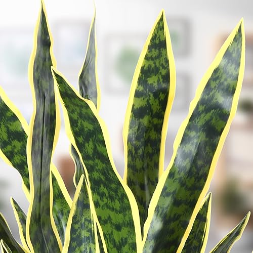 Miniatura 3 de CROSOFMI Higuera artificial de serpiente de 35 pulgadas con mini hoja de violín artificial de 22 pulgadas para decoración de interiores, entrada al