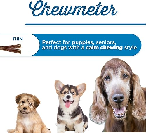 Miniatura 2 de Best Bully Sticks Palitos finos totalmente naturales de 12 pulgadas para perros, 12 pulgadas totalmente digeribles, 100% carne de res alimentada con
