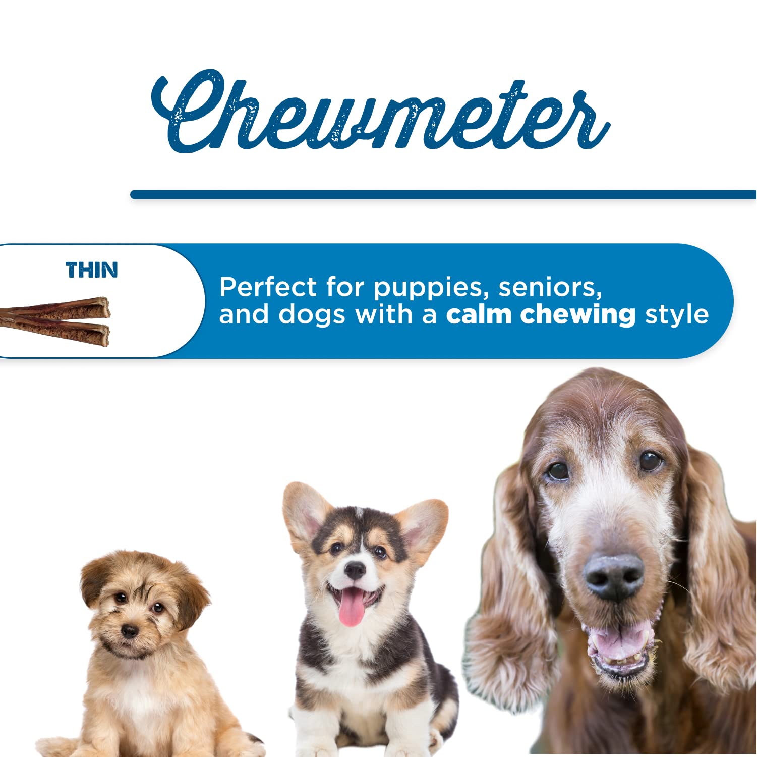 Why Is My Dogs Poop Thin