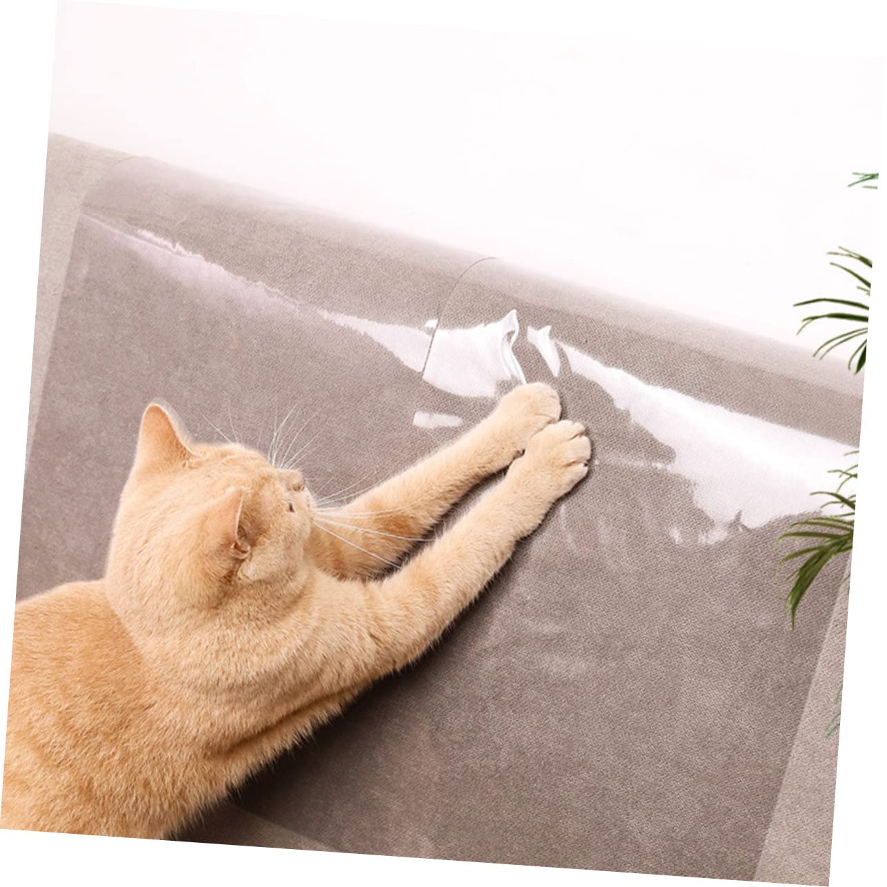 VANZACK 20pezzi Cat Scratch Couch Patch Protezione AntiGraffio per Divano e Mobili Pellicola Adesiva Trasparente per Cat Scratch