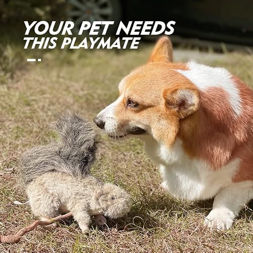 All For Paws Squeaky Dog Toys,Animal Plush Dog Toy,Stuffed Dog Toys,Puppy Toys For Teething Small Dogs #TOP3