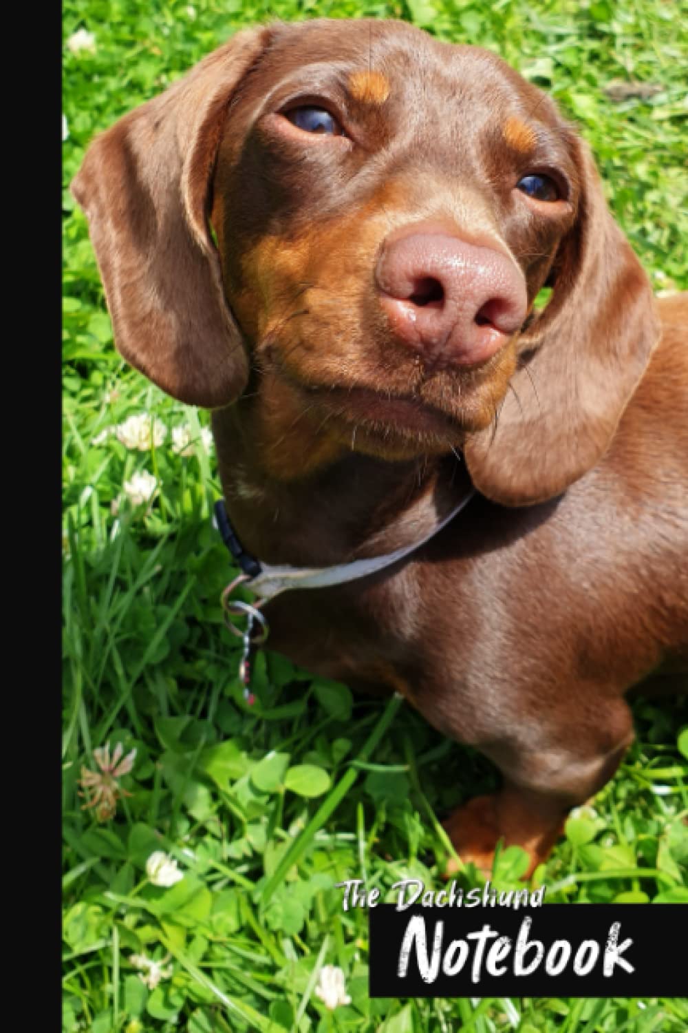 The Dachshund Notebook: Mini Dachshund Sausage Dog Blank Lined Notebook Journal