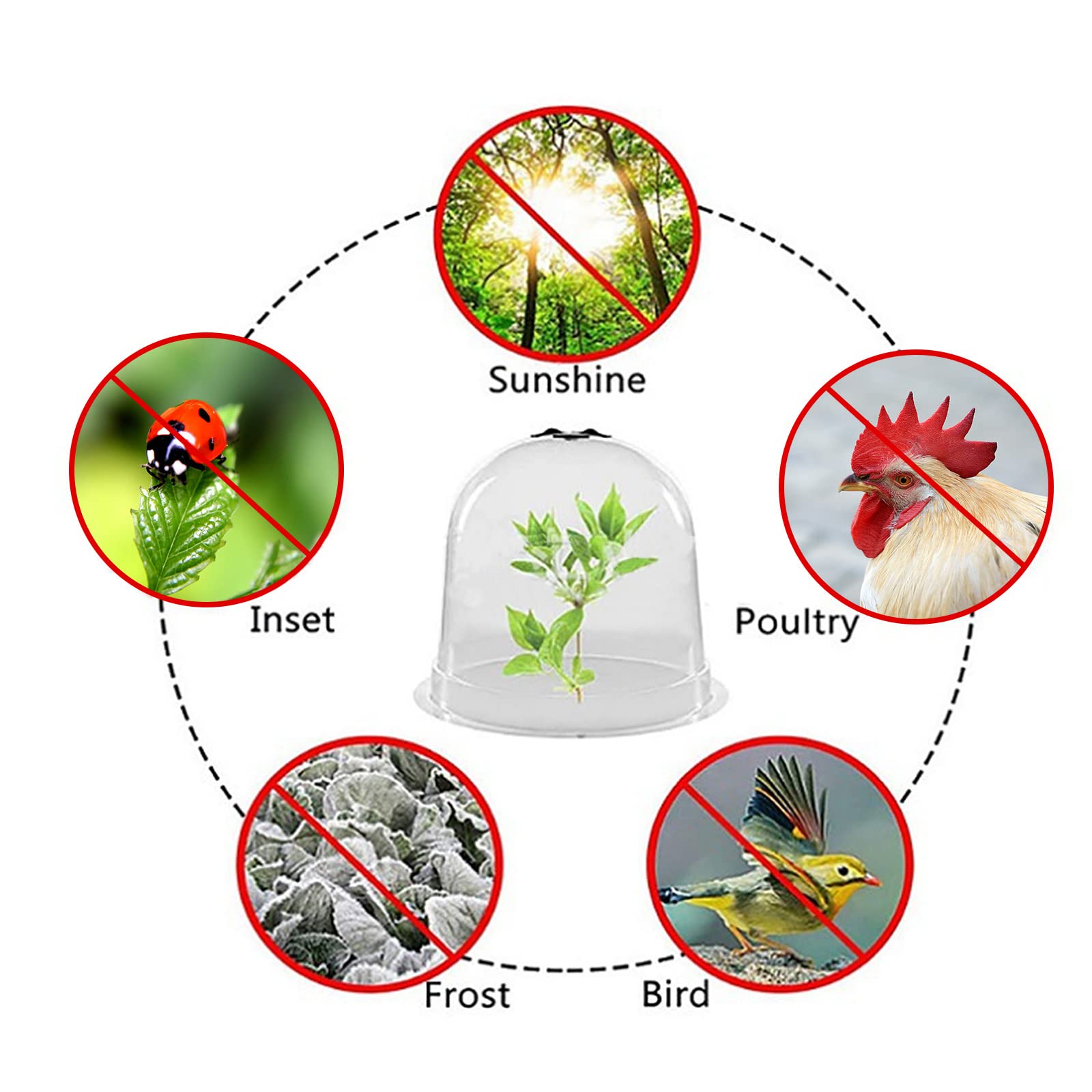 Lot de 6 cloches de protection pour mini serre de jardin avec piquets en métal et étiquettes pour plantes