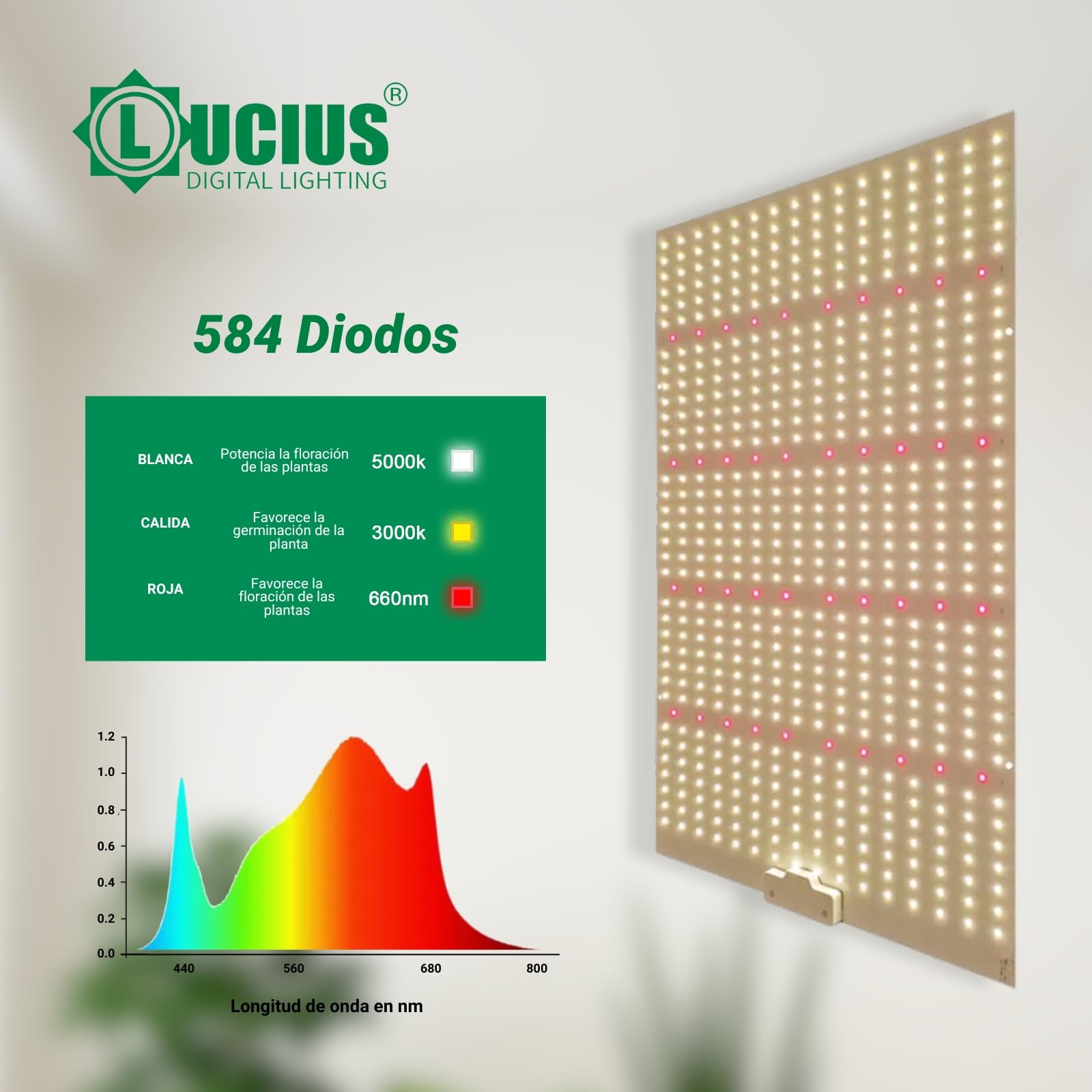 LUCIUS - LED Quantum Board 240W – Panel LED de Cultivo Indoor con Espectro Completo, Crecimiento & Floración, Invernaderos y plantas con flores, Máxima Producción