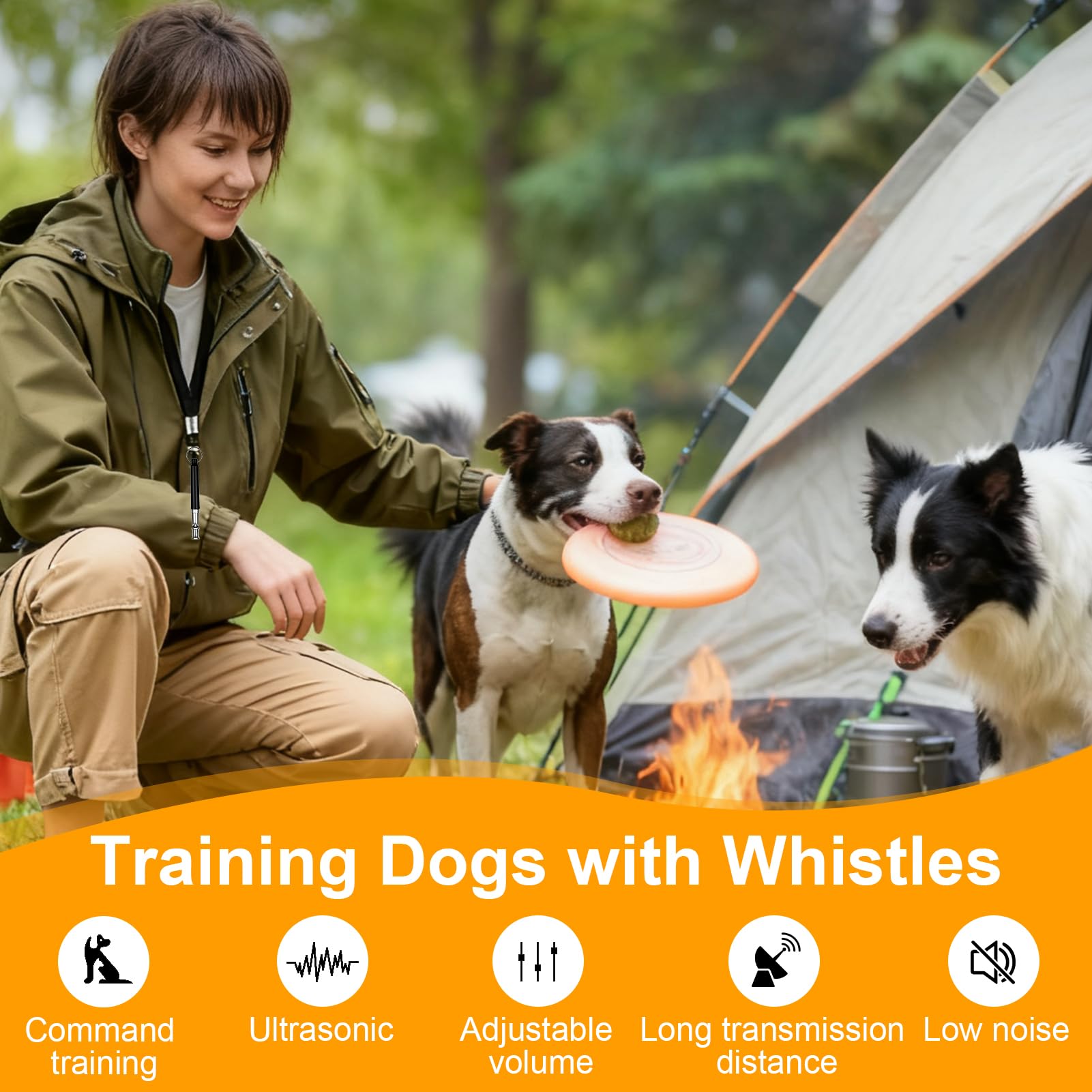 2 Pièces Sifflet Chien, Sifflets Ultrason Chien, Anti Aboiement Sifflet Dressage pour Le Rappel avec LanièRes, Silencieux, Fréquence Réglable pour La Plupart des Chiens (Black +White)