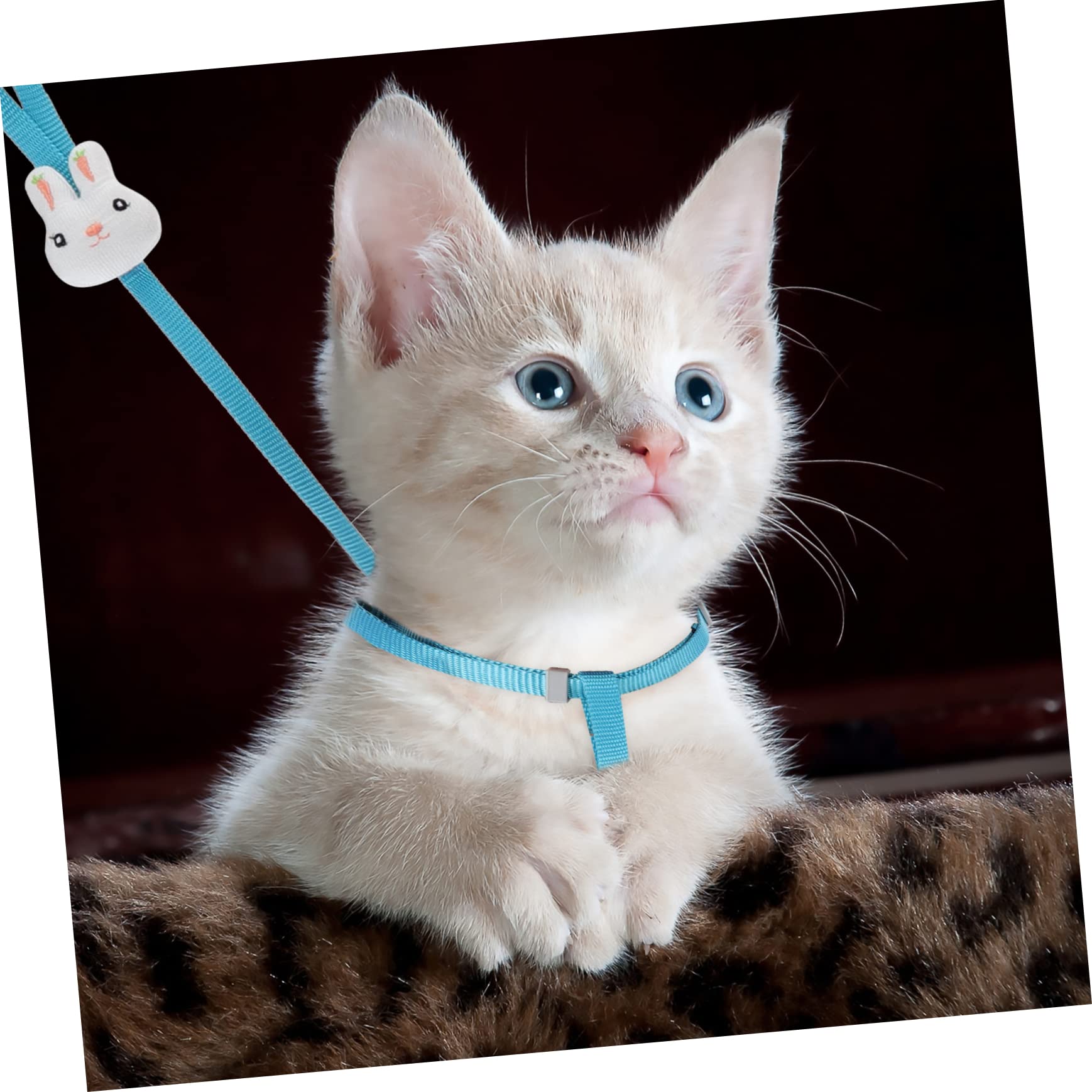 HANABASS Pet Vest Leash Set Cat and Dog Harness Cartoon Design Outdoor Activity Leash