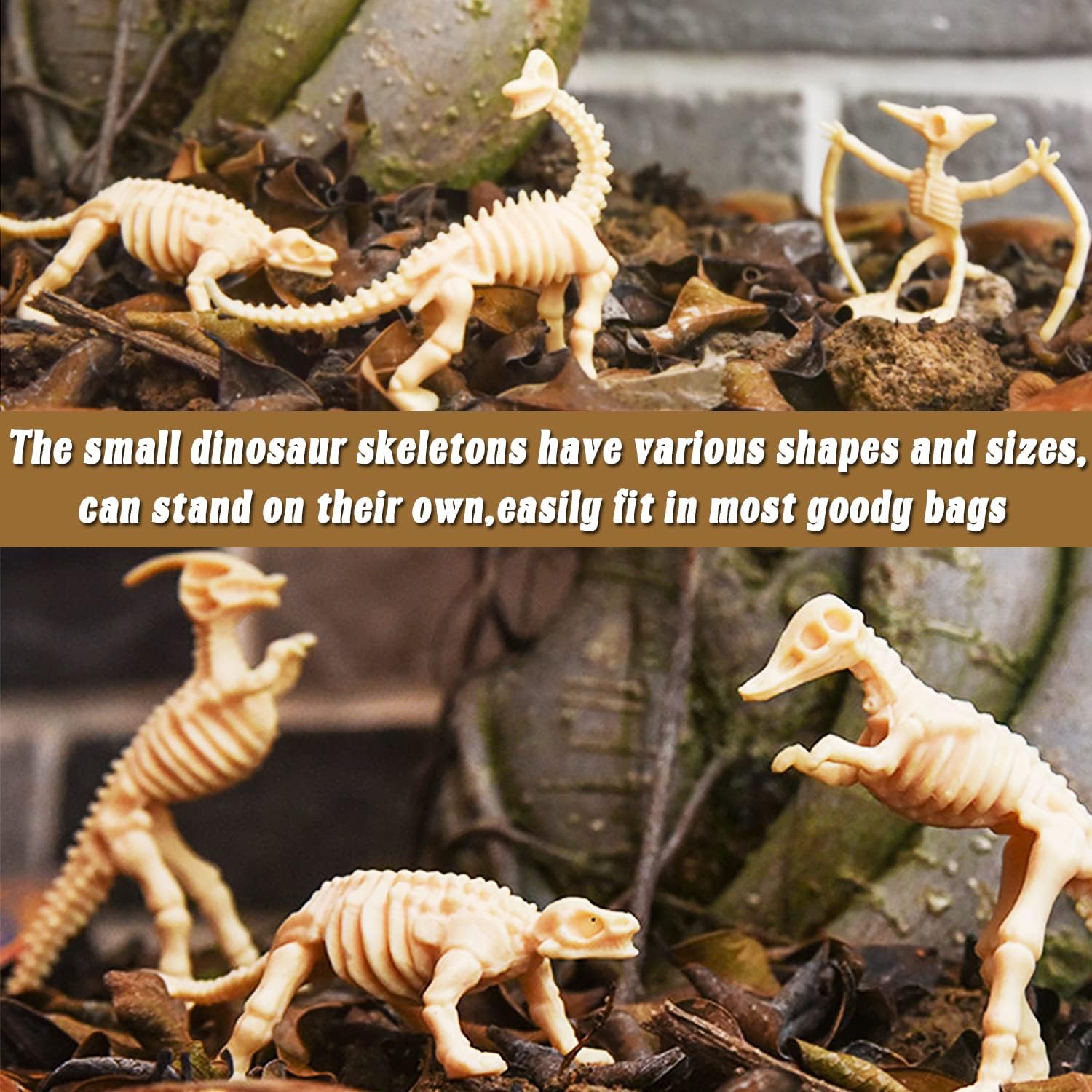 Lot De 36 Squelettes De Dinosaures – 12 Styles – Fossiles Miniatures En Plastique – Jeu Scientifique Dès 3 Ans