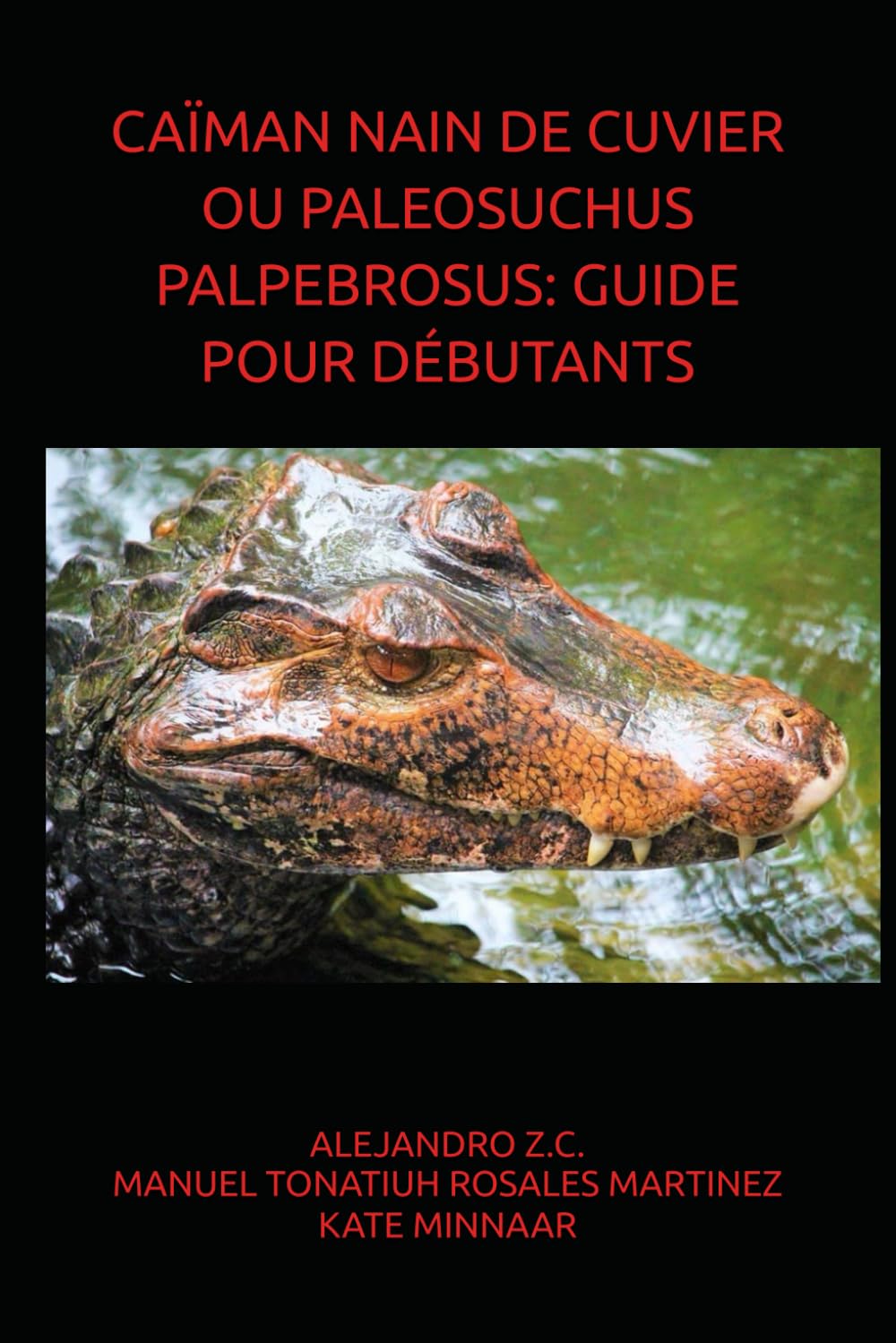 CAÏMAN NAIN DE CUVIER OU PALEOSUCHUS PALPEBROSUS: GUIDE POUR DÉBUTANTS