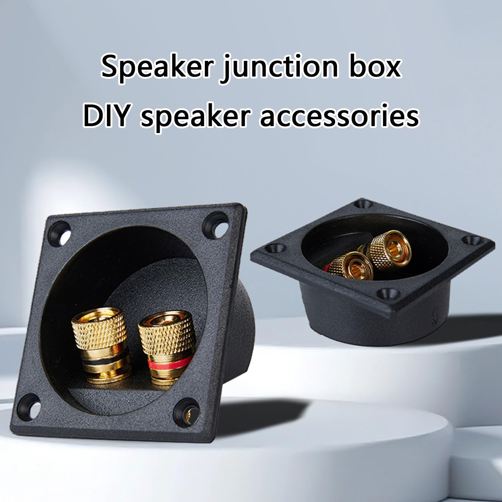 Two Input Speakers Terminals Block for Banana Plugs for Home Theater and Stage Equipment
