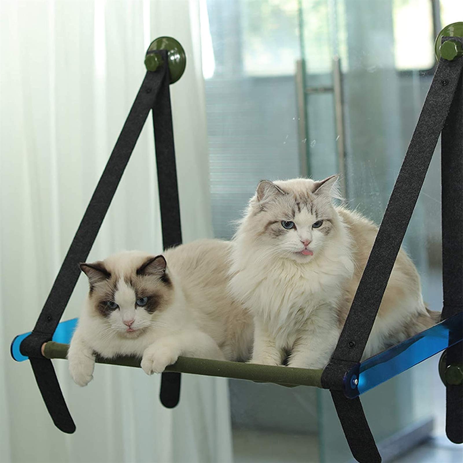 Amaca da Finestra per Gatti, Amaca da Finestra per Gatti con 4 Forti Ventose in Grado di Tenere più di 17Kg, per Gatti - Facile Installazione (Color : Green)