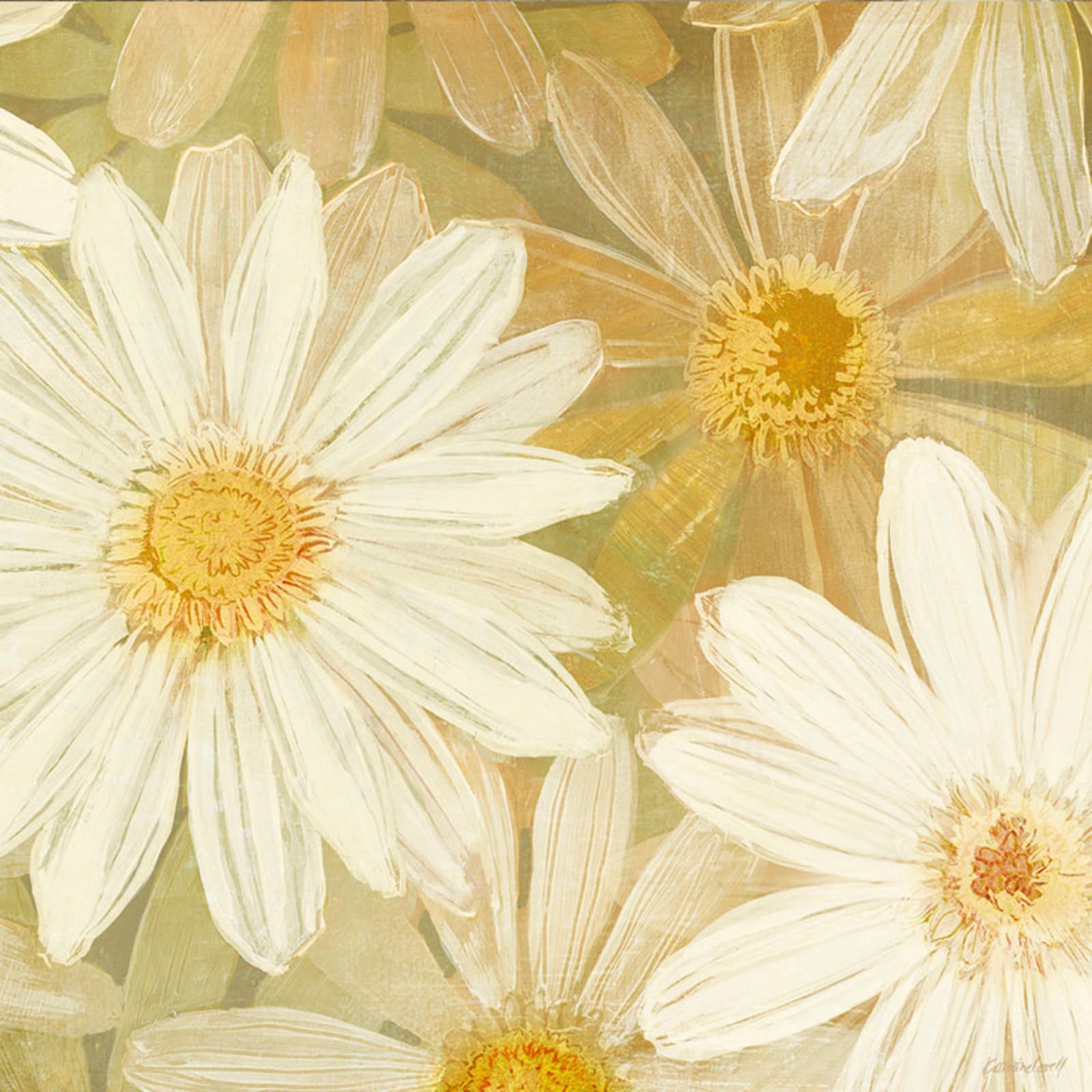 Fresque panoramique 3D flowers grand format 400x280 décoration salon