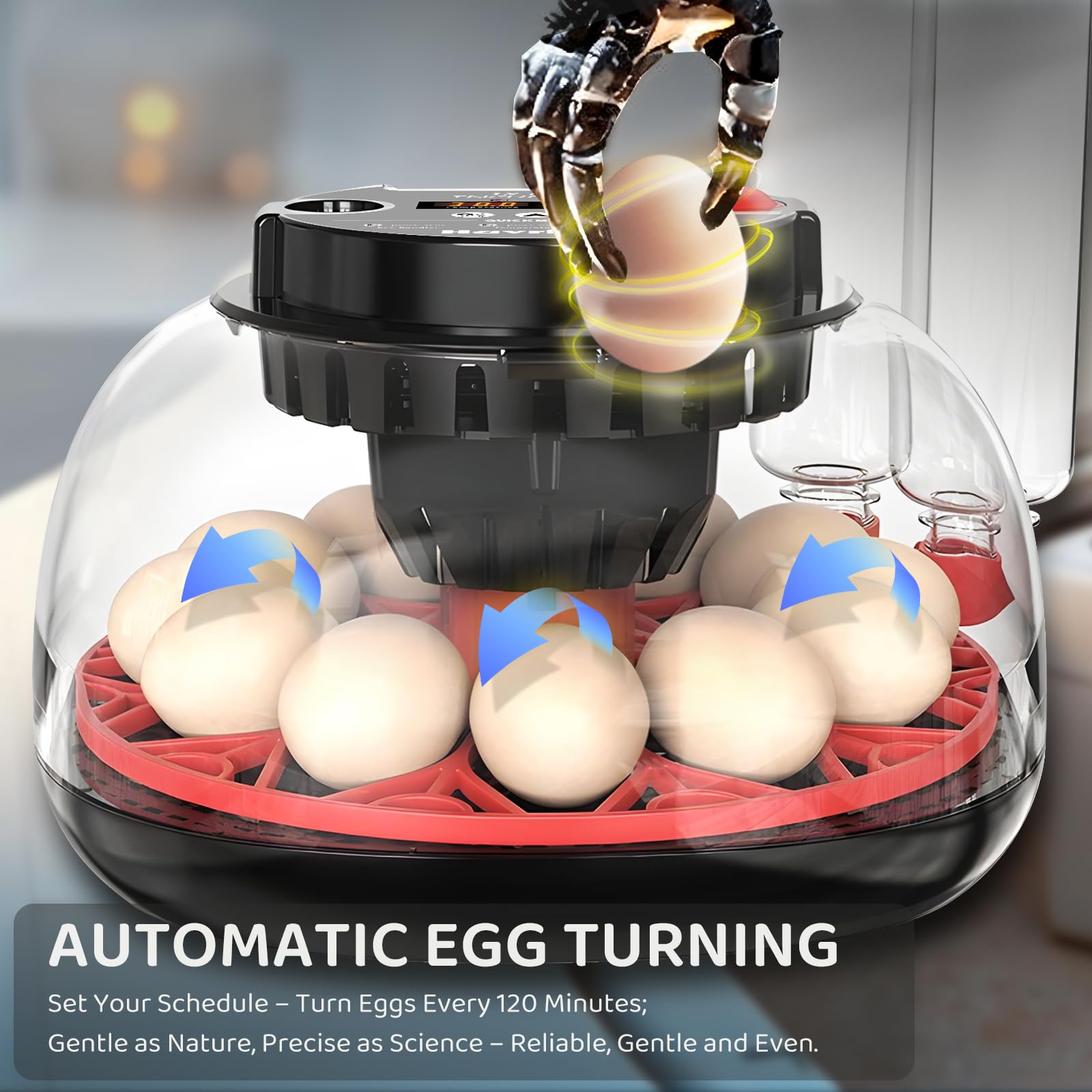 12 incubatrici per uova da cova con rotazione automatica delle uova, controllo dell'umidità da bottiglie, incubatrici per pollo, anatre, quaglie e altre uova di pollame, vista a 360° con