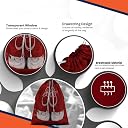 FabPax Shoe Bags for Travel Set of 06 – Waterproof Shoe Covers with Transparent Window | Travel Shoe Organizer for Men & Women | Dust Proof Shoe Storage Pouches for Suitcase, Gym & Closet (Maroon) gallery image