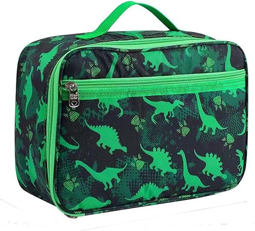 Lonchera cuadrada con aislamiento de dinosaurio para niños pequeños, lonchera para niños, impermeable y aislada, suave, hielera de lona para el