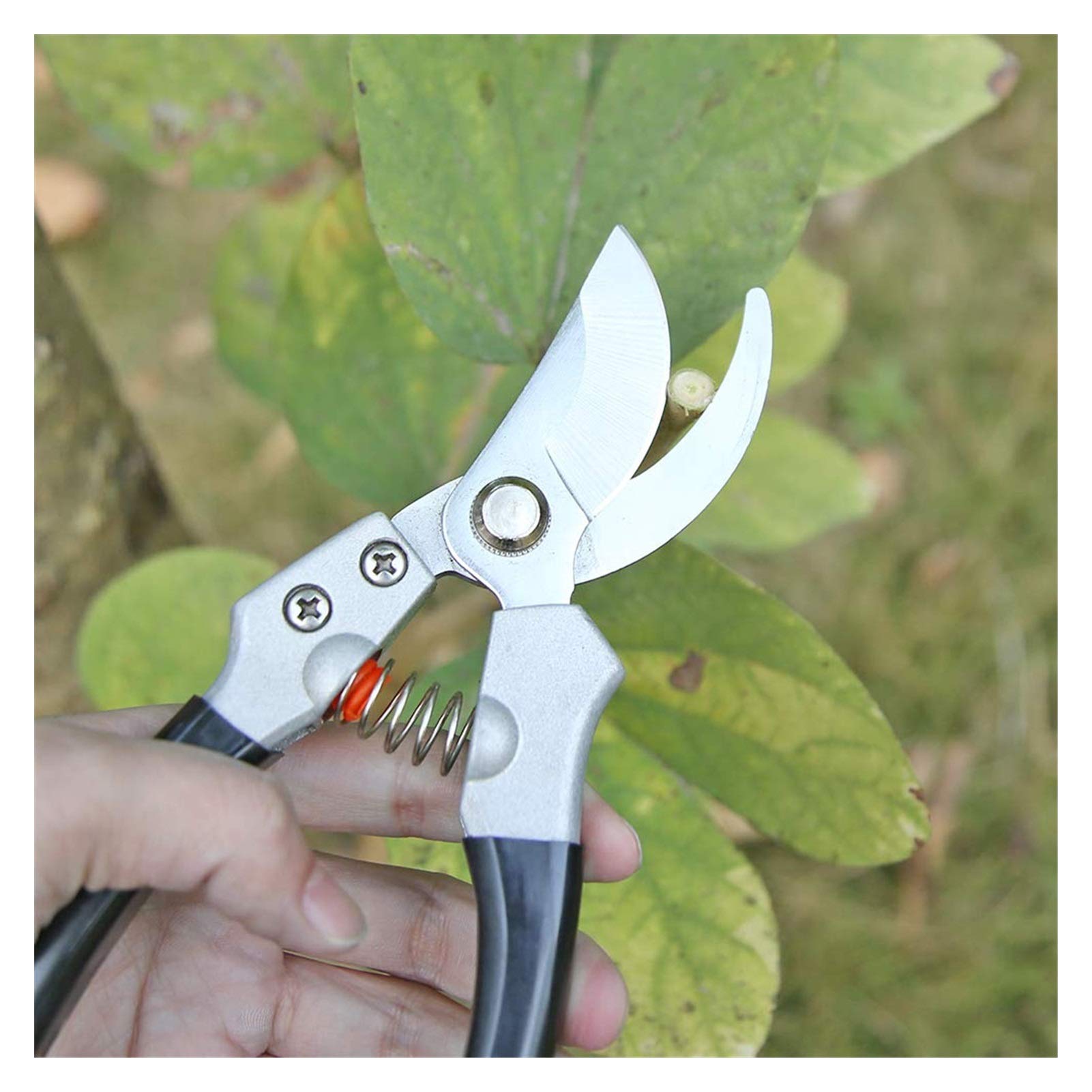 Potatura Professionale Premium, cesoie per Alberi Cesoie da potatura Cesoie da potatura da Giardino Tronchesini per potatura a Mano per Rami