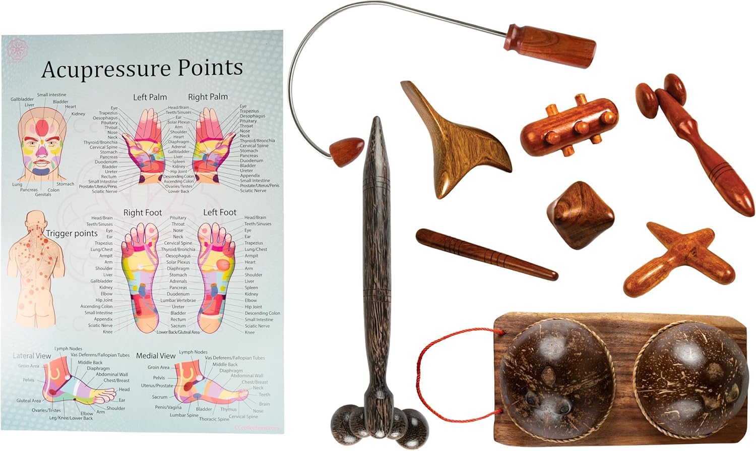 CCcollections Traditional Wooden Massage Reflexology Professional toolsets with accupreasure Charts (J 9SET, 1, Count)