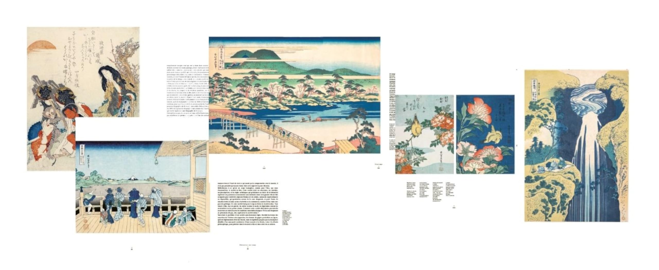 Hokusai. Le fou de dessin