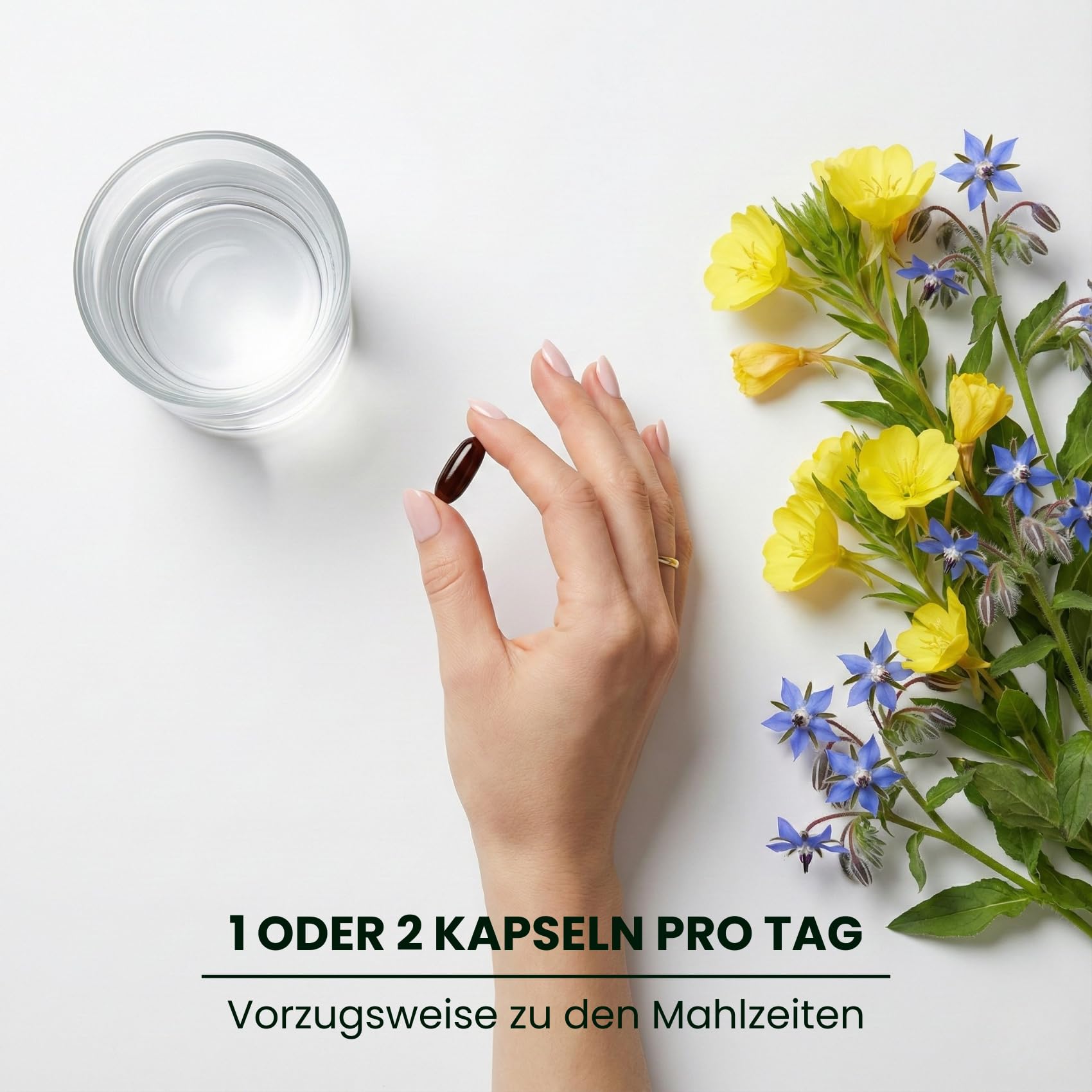 Nachtkerze + Borretsch 1000 mg - 12% GLA, Natürliches Vitamin E und B6 P5P für Hormonelles Gleichgewicht, PMS, Menopause und Hautgesundheit - 170 Perlen - kaltgepresst | Nutribiolite