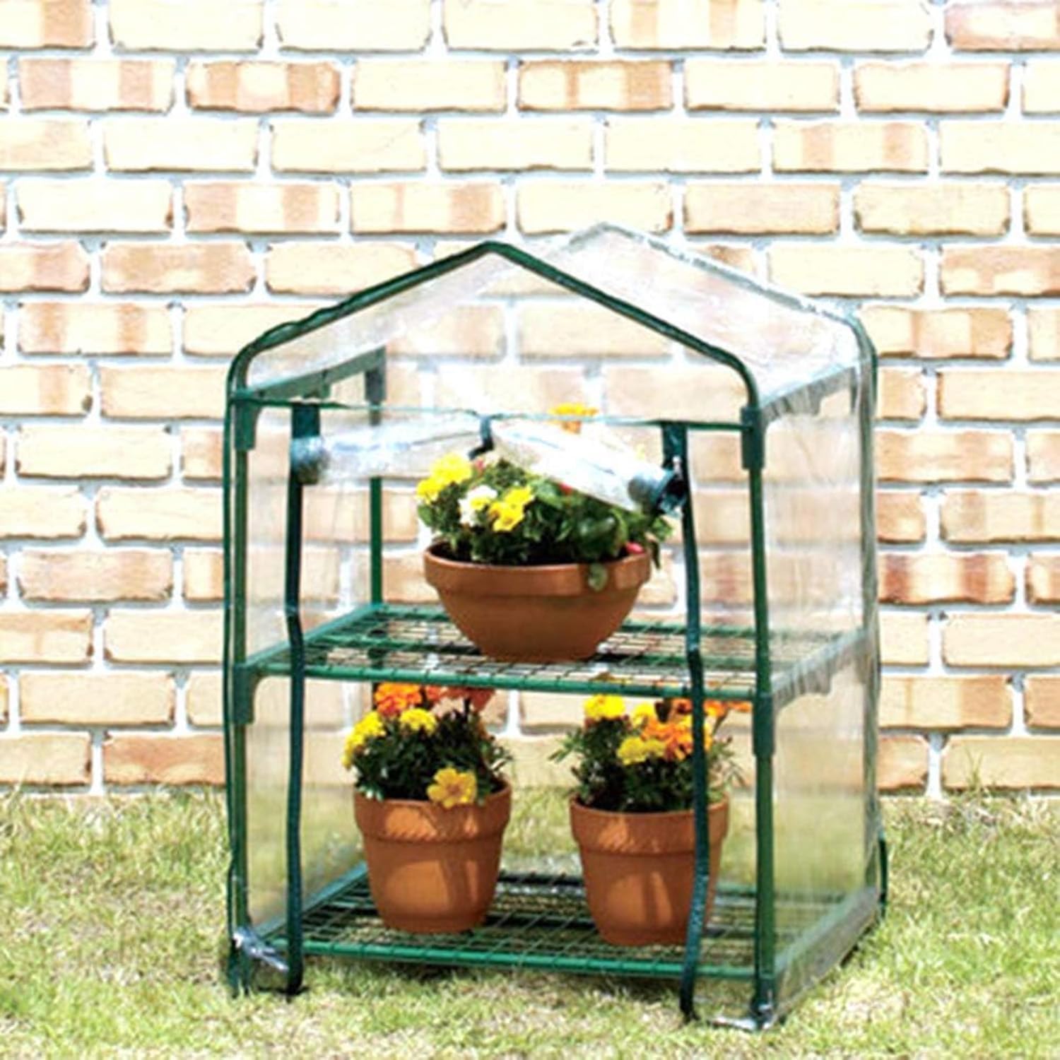 Avilia Serra da Balcone e Giardino a 2 Ripiani con Copertura Removibile - Compatta 69x49x93 cm, Montaggio Facile, Struttura Durevole e Resistente per Piante, Fiori