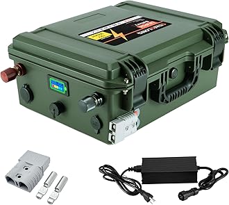 12V 300Ah Lithium LiFePO4 Battery,Built-in 200A BMS,Max 2560W Power Output,Various Ports & Connects,6000+ Deep Cycles,Perfect for Off-Grid,RV,Solar