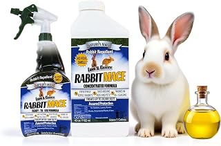 Nature’s MACE Rabbit Mace, Rabbit Repellent Outdoor, Spray & Concentrate Kit, Covers 29,400 Sq Ft, Rabbit Deterrent for Lawns, Yard, Garden, Mint Scent Spray, Safe to use around Pets, People, & Plants