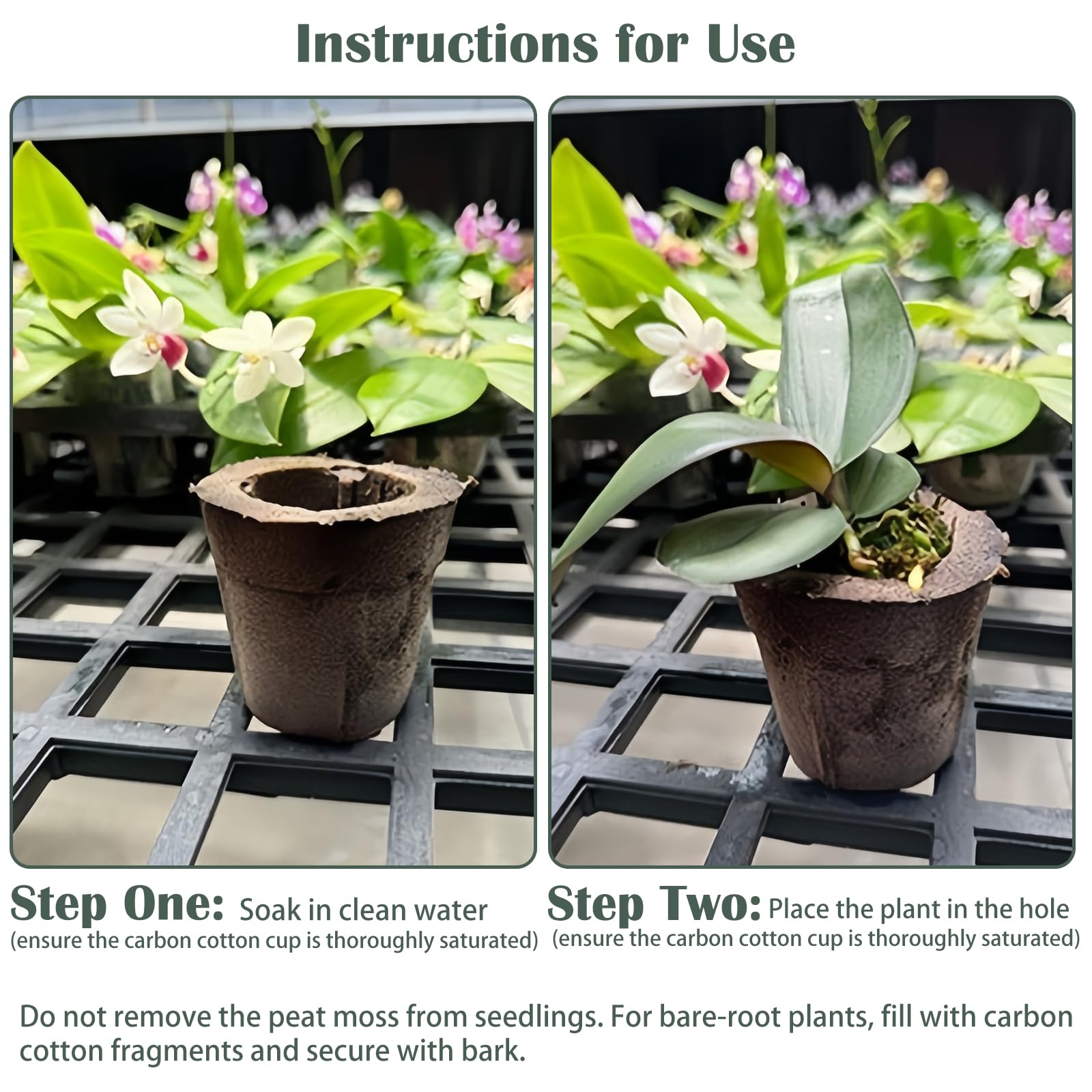 Premium Substrat pour Orchidées | Mélange Aéré et Drainant pour des Racines Saines | Idéal pour Le Rempotage des Phalaenopsis et Dendrobium (⌀9,20PCS)