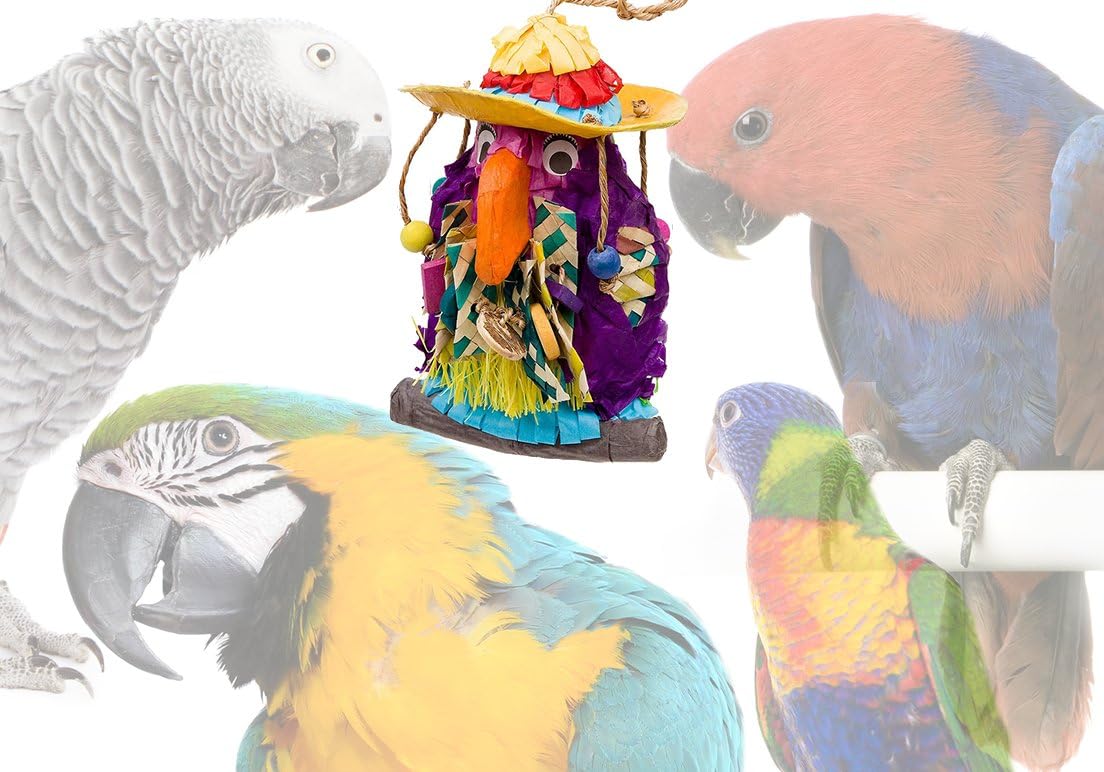 Fill-a-Treat" Bird Foraging Toy Piñata (Mexican Parrot)