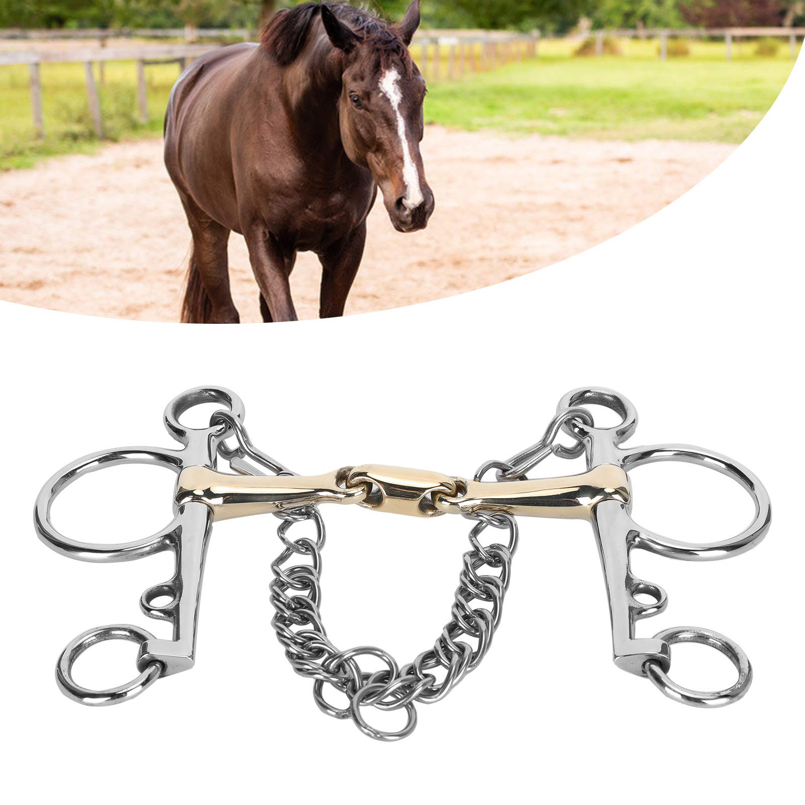 Pelham Bit with Stainless Steel Decoration Decoration Accessory of Adapted Horses to Display Competitions
