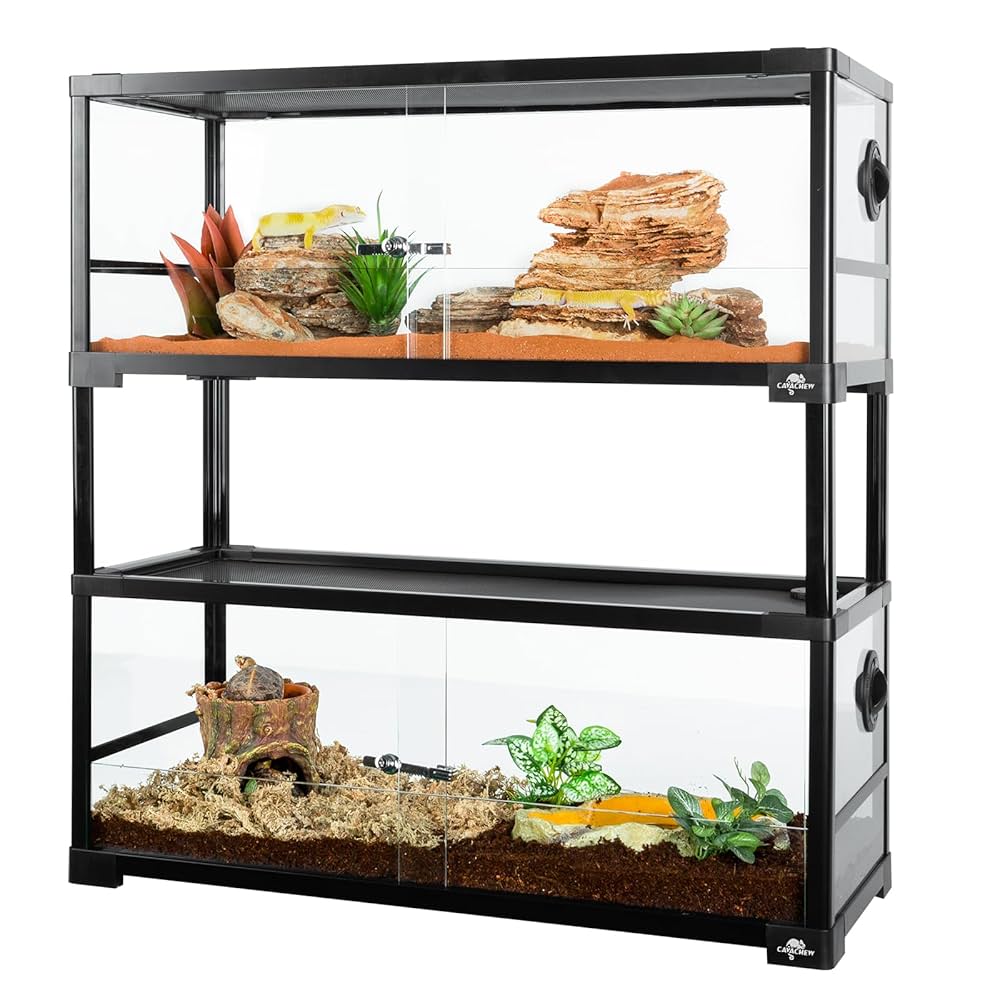 Bearded Dragon Petsmart 20 Gallon Tank Terrarium 20 Gallon Bearded