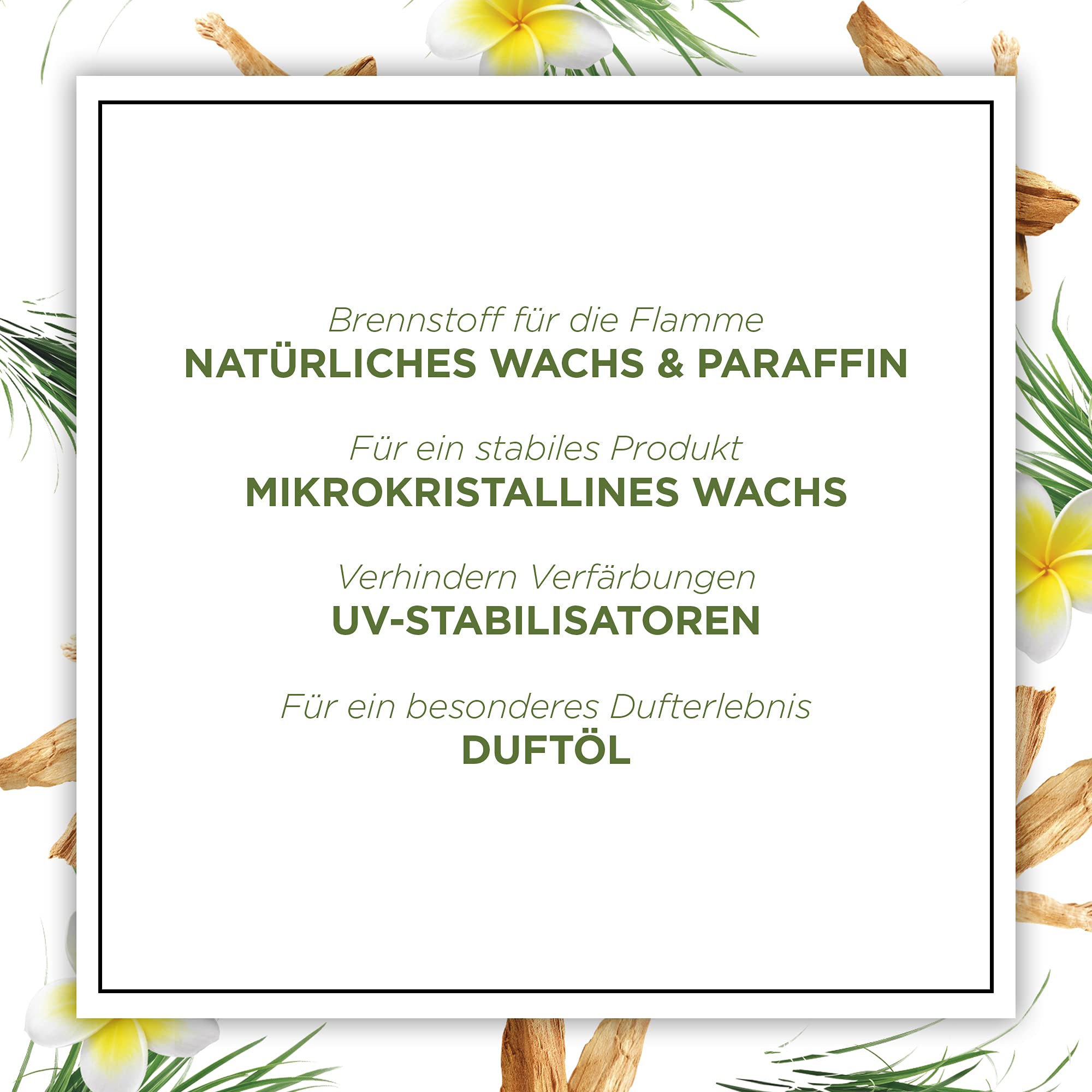 Botanica by Air Wick 6 candele profumate in barattolo – fino a 40 ore per candela – Fragranza: erba dolce e legno di sandalo – Prodotto in modo sostenibile con ingredienti naturali – 6 x 205 g candela