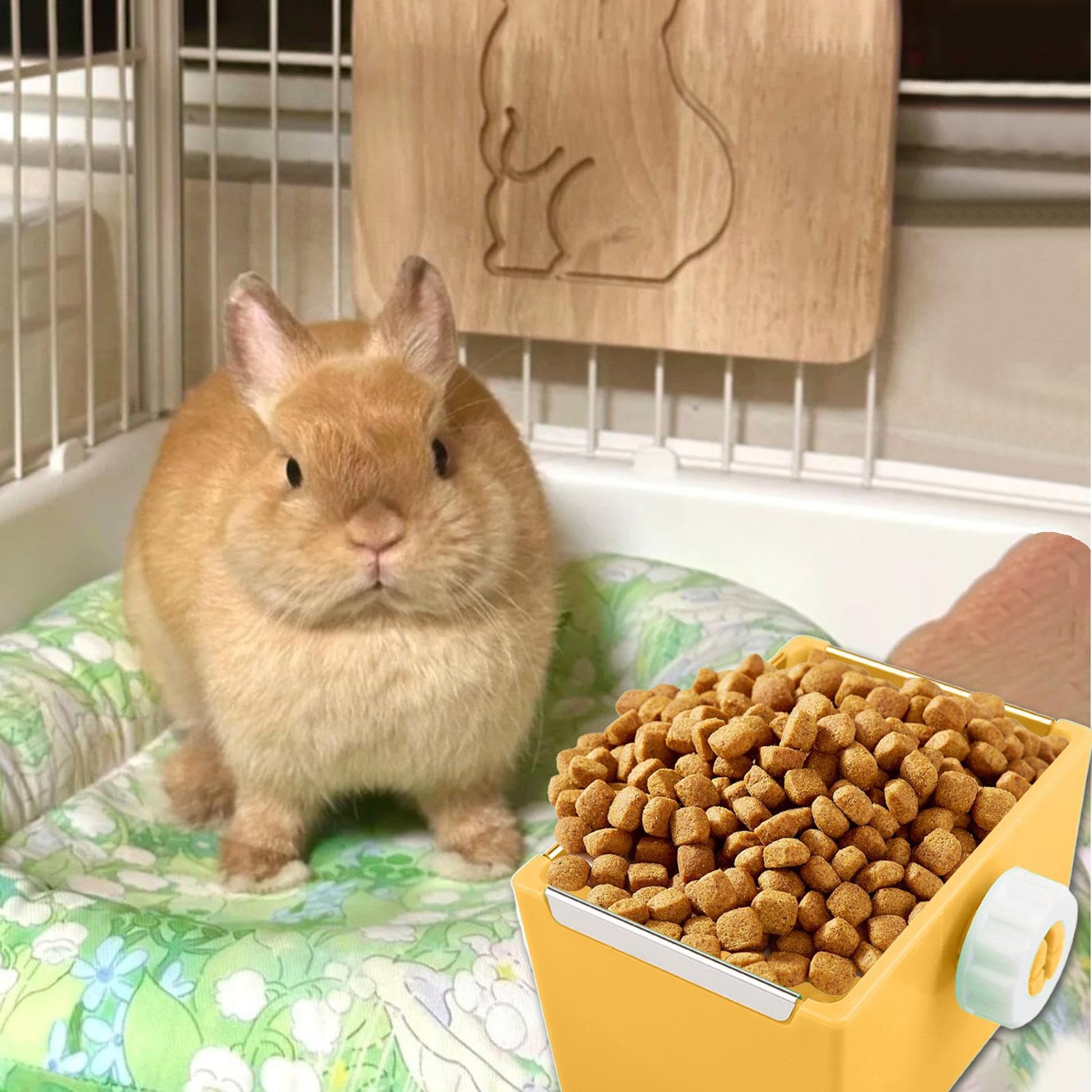 Tazón de Comida de hámster, tazón de hámster Plato de Agua de Animales | Plato de alimentación de animales pequeños para hámster enano gerbil hedgehog chinchilla conejito