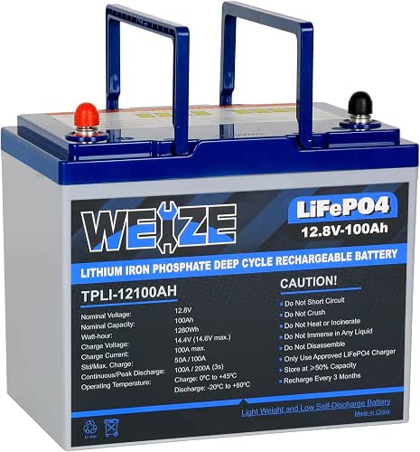 WEIZE 12V 100Ah Mini LiFePO4 Lithium Battery, Built-in 100A Smart