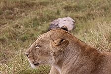 Review Image by DahleLama