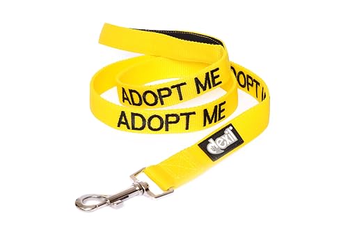 Adopt ME Yellow Color Coded Padded Dog Leash (4 Foot)