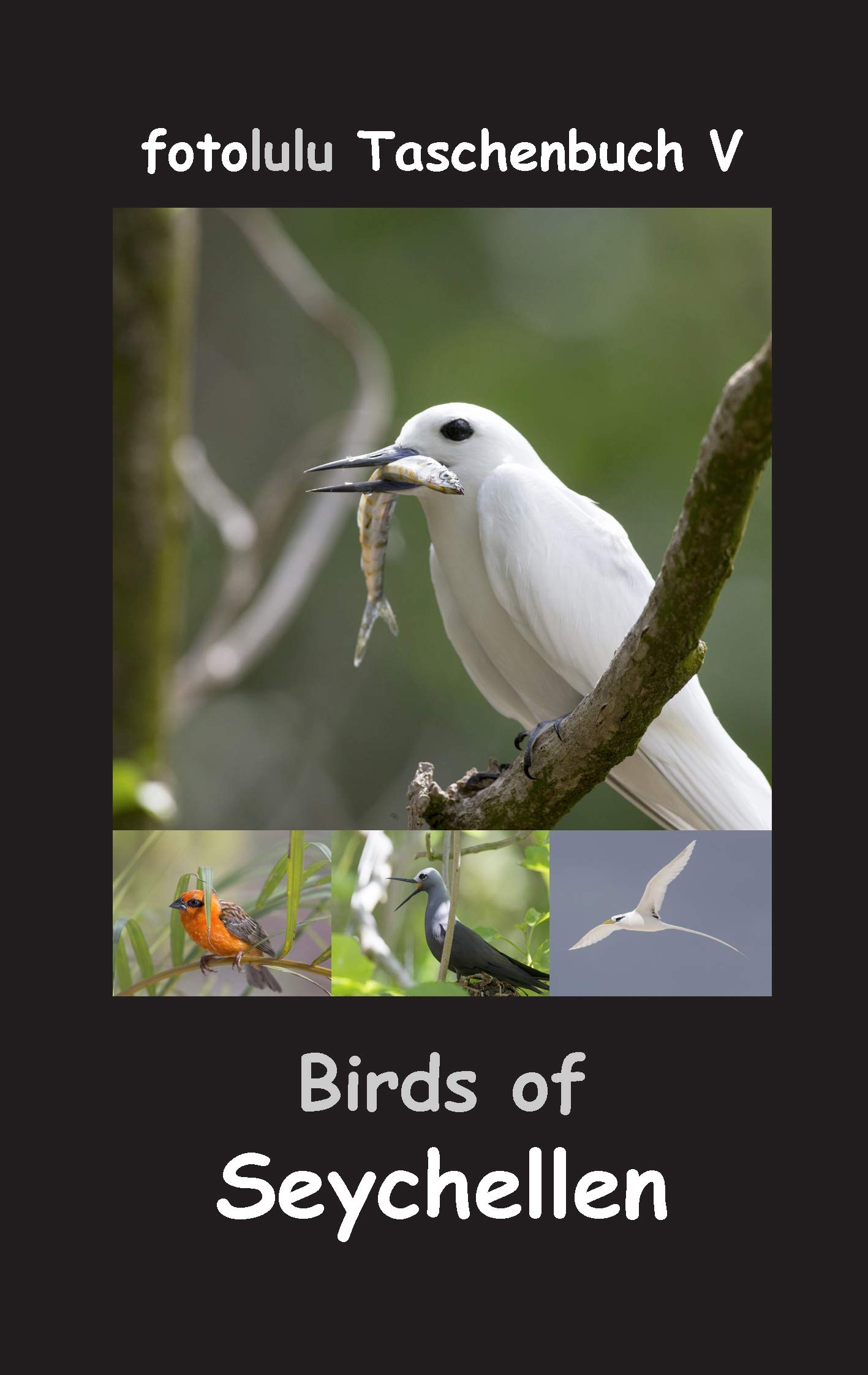 Birds of Seychellen (fotolulu Taschenbuch)