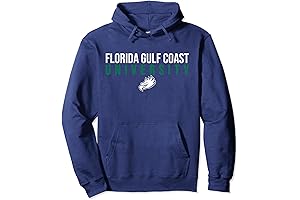 Florida Gulf Coast University FGCU Eagles Stacked Pullover Hoodie: Represent Your School...