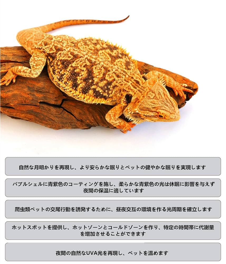 爬虫類・両生類用照明セット Amazon | UVA 2個セット 爬虫類ライト 両生類用 照明 25W 75W