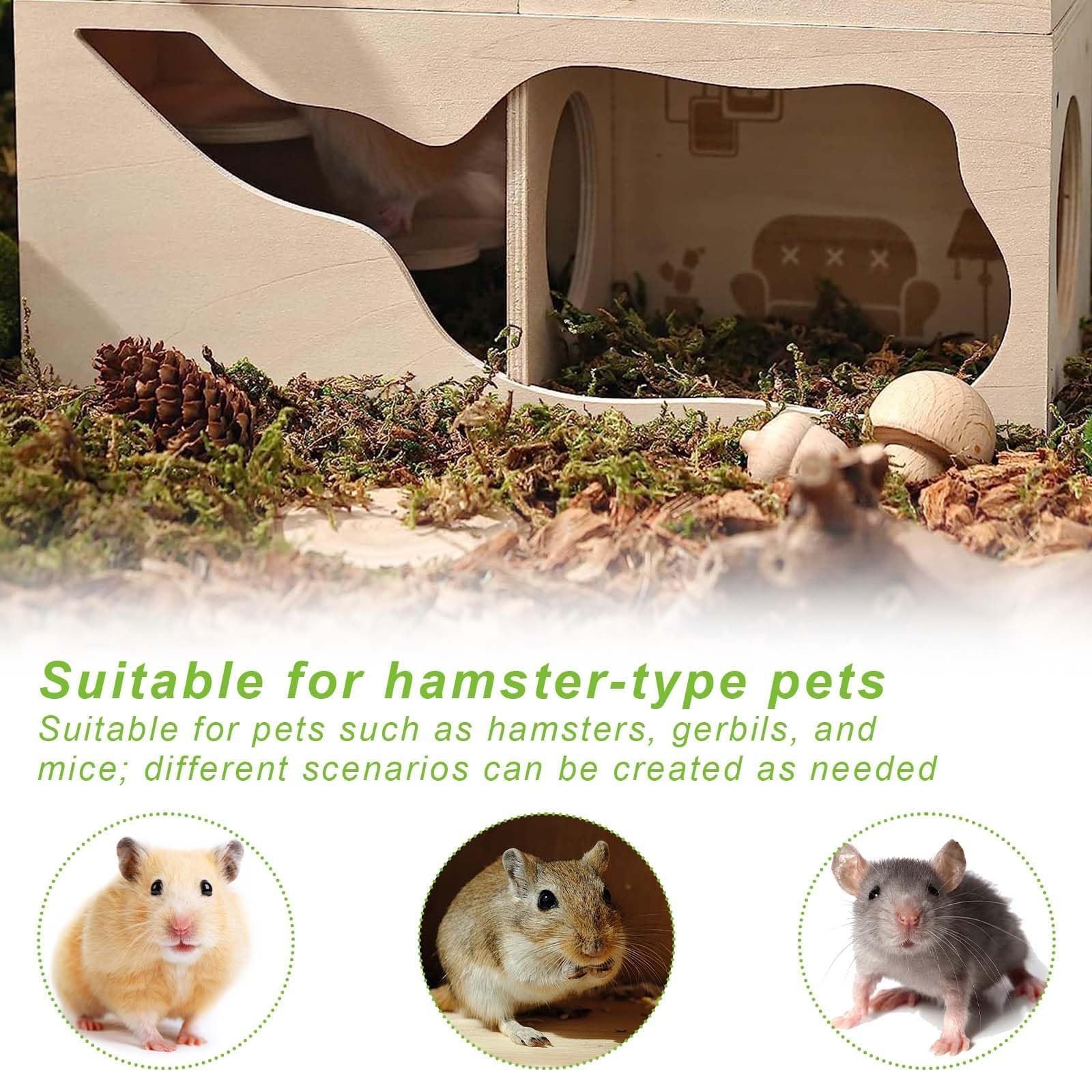 Maison à Hamster en Bois, Maison Cochon d'Inde Bois, Maison en Bois pour Hamster, Maison de Hamster pour Gerbilles, Maison Hamster, Convient aux Hamsters Nains, aux gerbilles et aux Souris.
