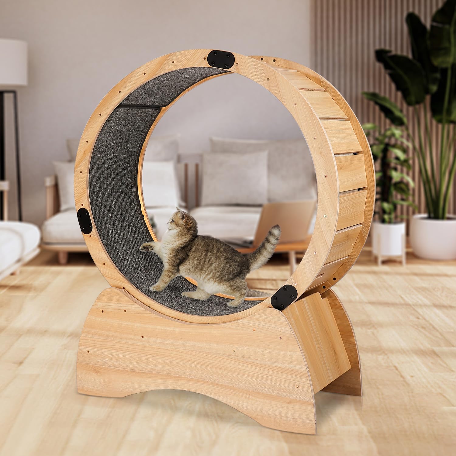 Cat Exercise Wheel, Wooden Cat Treadmill Toys for Indoors Cats, Cat Running Wheel with Ultra-Quiet Rollers, Small Large Cat Wheel Exerciser with Carpeted Runway for Physical Activity